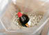 Vermiculite Füllmaterial Vermiculite Füllmaterial