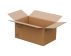 Baggage-Karton