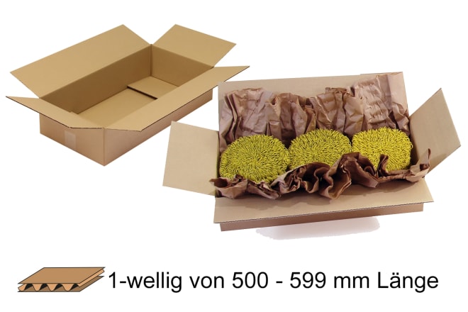 Wellpapp-Faltkarton 1-wellig von 500 - 599 mm Länge