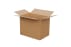 Baggage-Karton