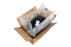LDPE-Seitenfaltensack