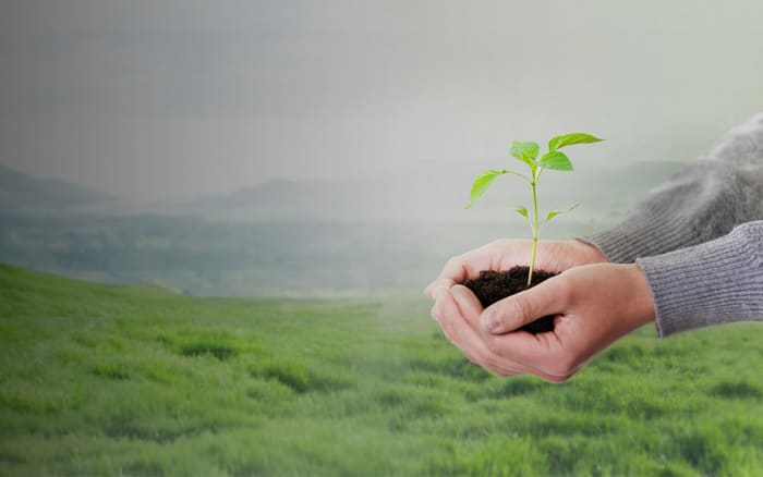 Gesetzeskonform verpacken
