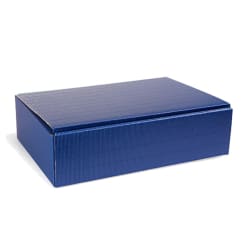 Flaschen-Präsentkarton 3er, saphirblau, offene Welle, 5200428