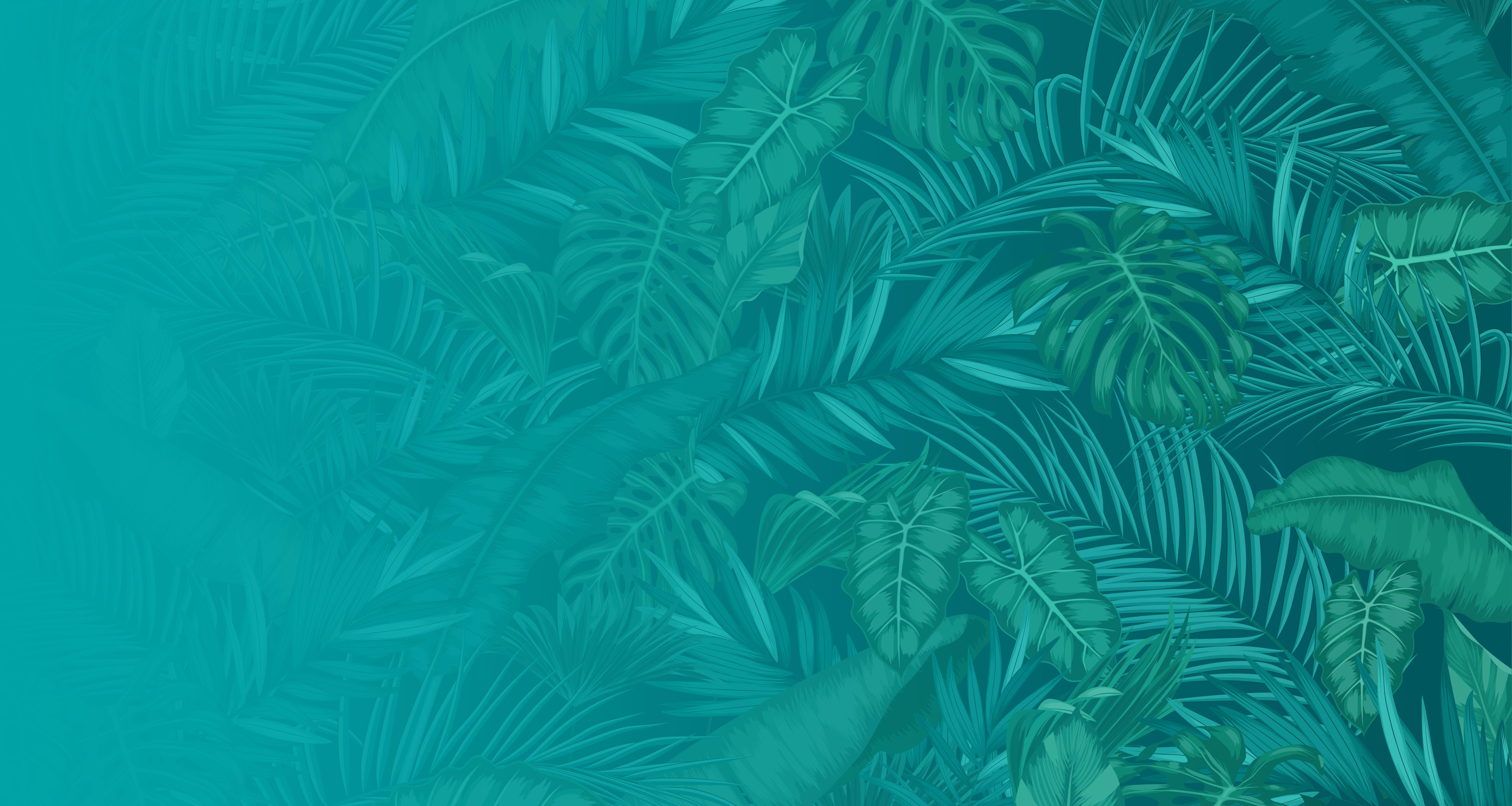 Raus aus dem Verpackungsdschungel