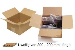Wellpapp-Faltkarton 1-wellig von 200 - 299 mm Länge, m5011303