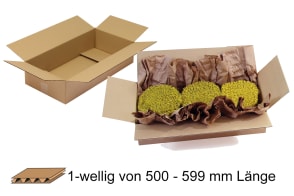 Wellpapp-Faltkarton 1-wellig von 500 - 599 mm Länge, m5011035