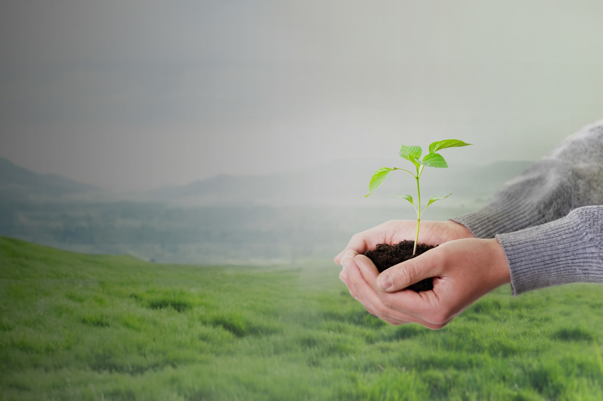 Nachhaltig & gesetzeskonform verpacken