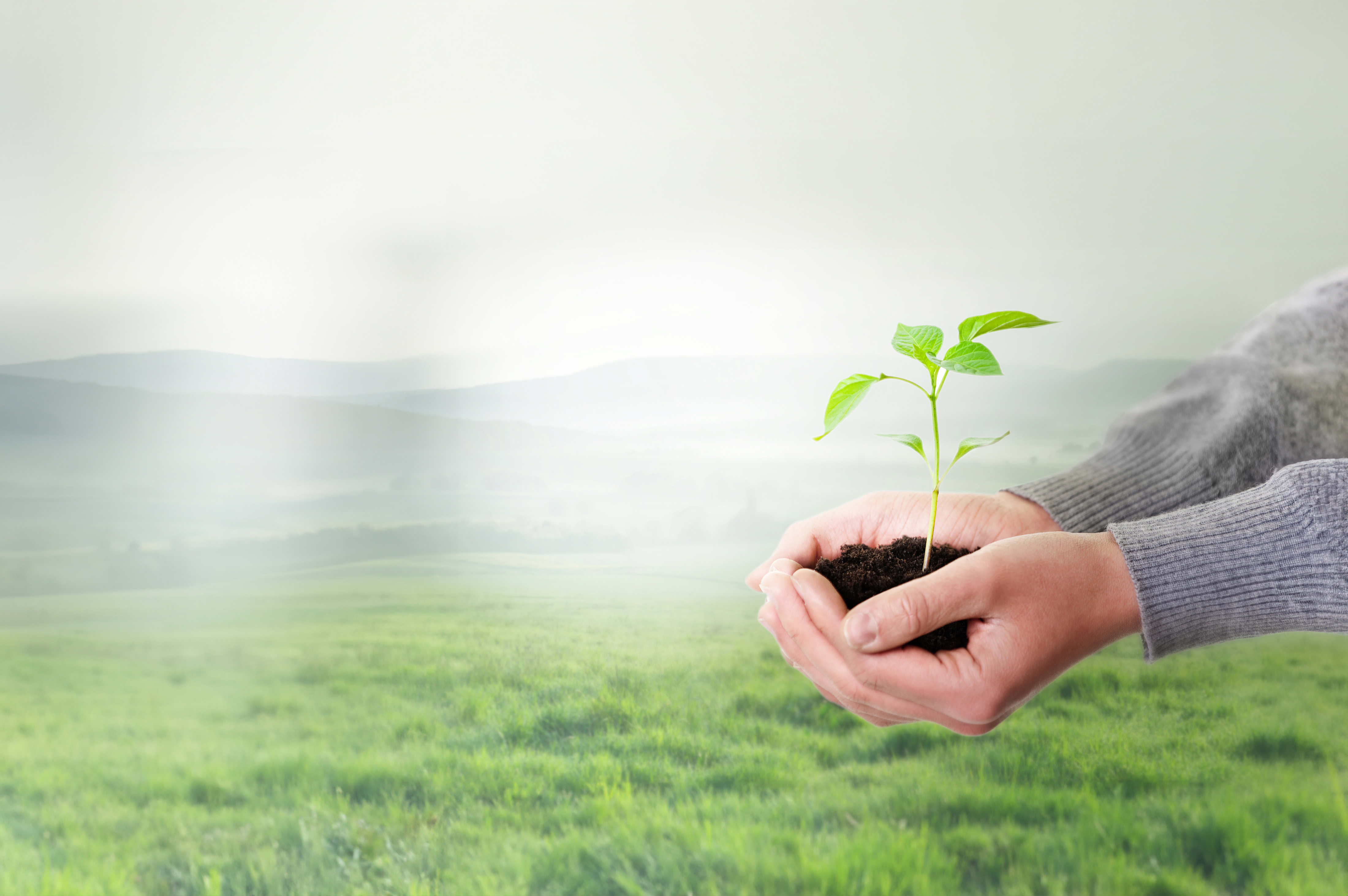 Nachhaltig & gesetzeskonform verpacken