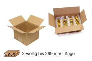 Wellpapp-Faltkarton 2-wellig bis 299 mm Länge, m5012001