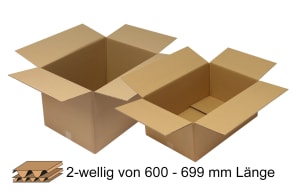 Wellpapp-Faltkarton 2-wellig 600 - 699 mm Länge, m5012060