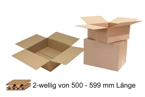 Wellpapp-Faltkarton 2-wellig 500 - 599 mm Länge, m5012108
