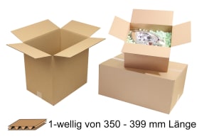 Wellpapp-Faltkarton 1-wellig von 350 - 399 mm Länge, m5011315