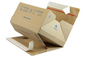 <span class="mw-page-title-main">Halbautomatikkarton</span>